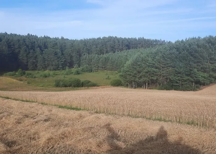 Lesniczowka