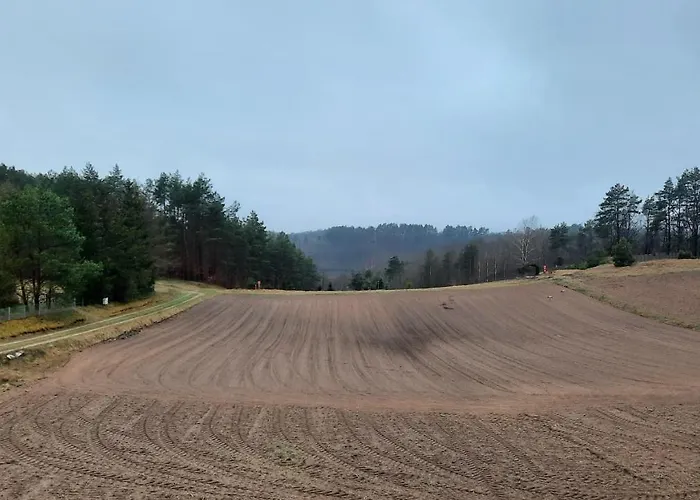 Lesniczowka