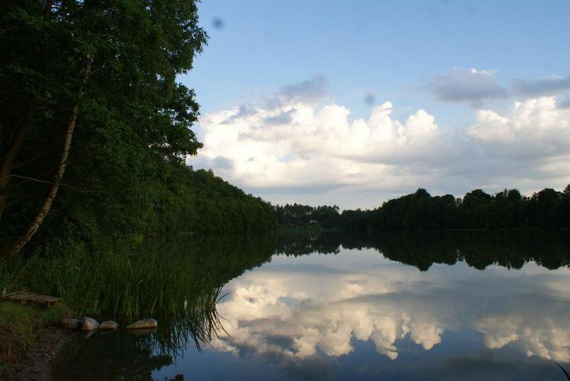 Lesniczowka Holiday home *