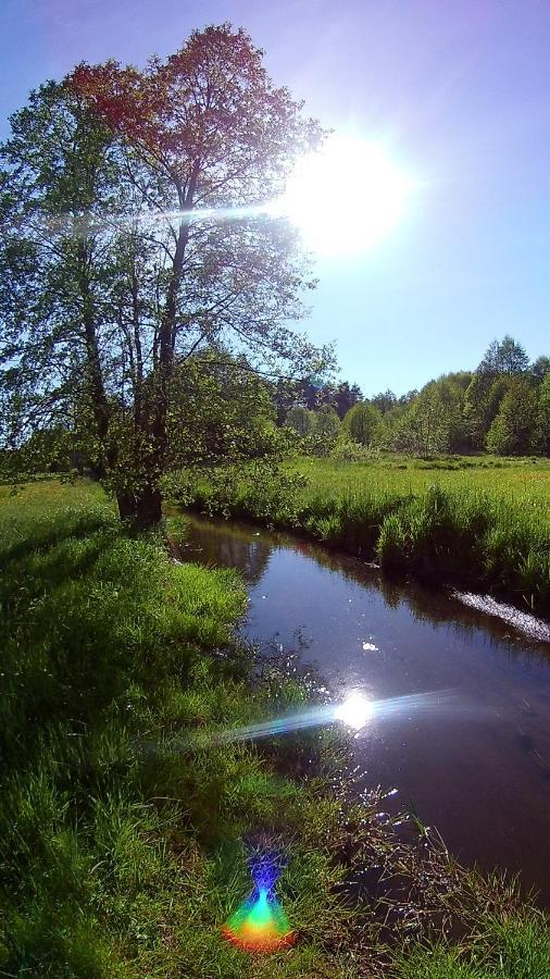 Lesniczowka Holiday home Fingrowa Huta