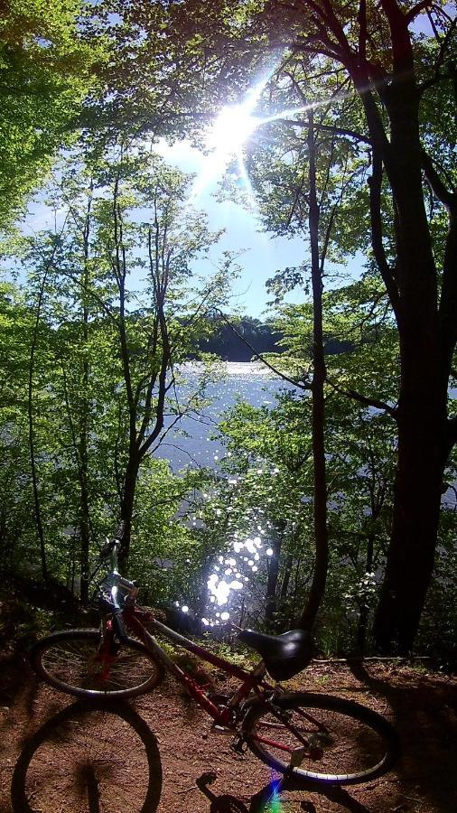 Lesniczowka Holiday home Fingrowa Huta