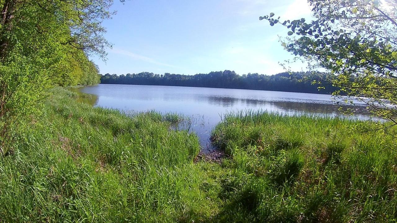 Lesniczowka Holiday home