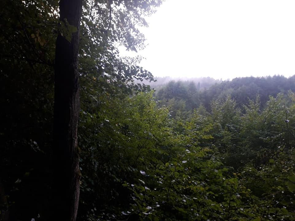 Lesniczowka