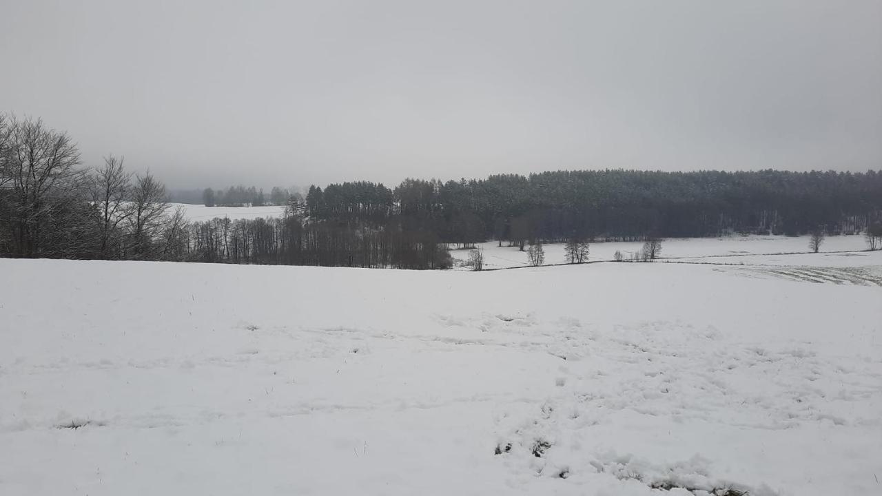 Lesniczowka Holiday home Fingrowa Huta