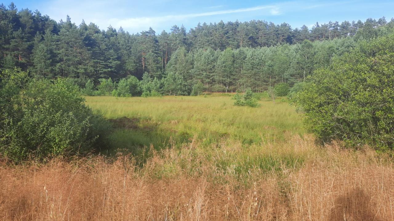 Lesniczowka Holiday home Fingrowa Huta